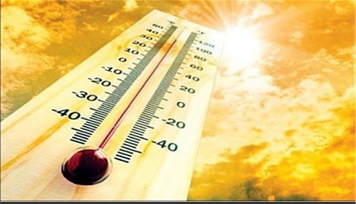  Portekiz'de Sıcak Hava Can Aldı; 264 Ölü