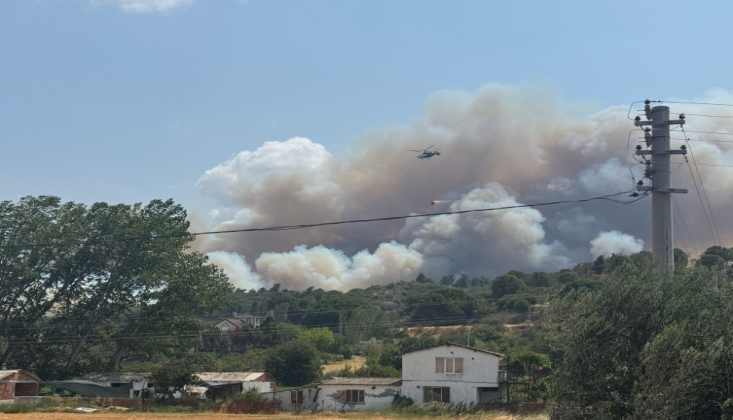 Çanakkale'de Yangın; 4 Gözaltı
