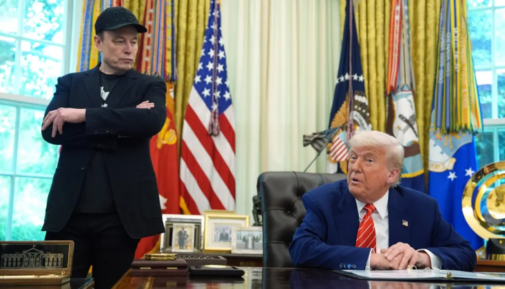 Elon Musk Parti Kurdu